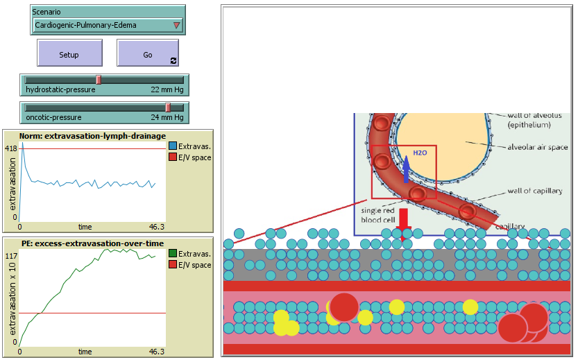 Cardiogenic Pulmonary Edema model for Experimentation preview image