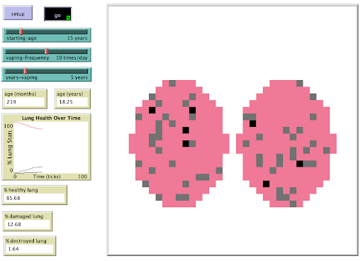 Vaping Lung Model preview image